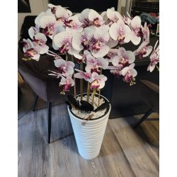   Állókaspós orchidea fehér-lila pöttyös virággal fehér kaspóban 5 szálas