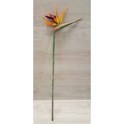 Papagáj virág 80 cm Strelitzia szál