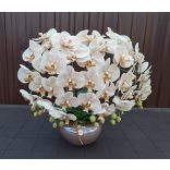 Barna ufó kaspóban 5 szál cappuchino orchidea