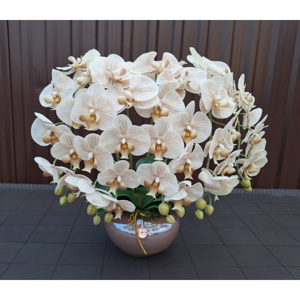 Barna ufó kaspóban 5 szál cappuchino orchidea