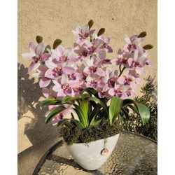   3 szálas rózsaszín csónakorchidea fehér ovális kaspóban