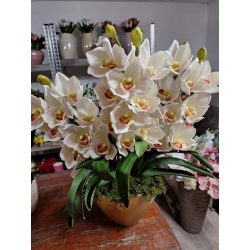 3 szálas fehér csónakorchidea arany ovális kasppóban 