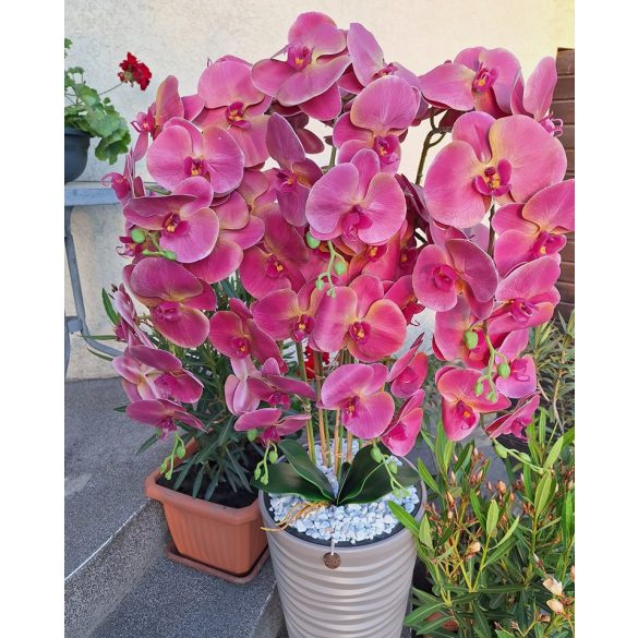 7 szálas tömött orchidea dekoráció drapp padlóvázában