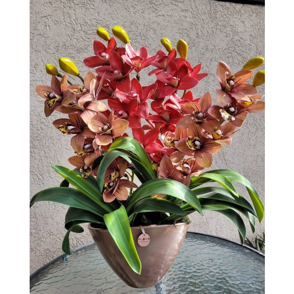 3 szálas csónakorchidea ovális rosegold kaspóban