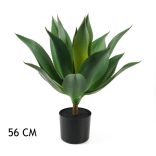 Agave (56 cm)