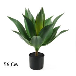 Agave (56 cm)