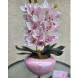 2 szálas pink csónakorchidea pink konyak kaspóban