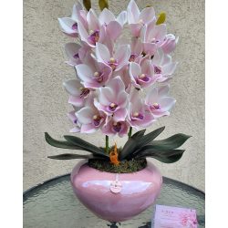 2 szálas pink csónakorchidea pink konyak kaspóban