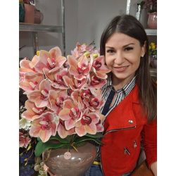 2 szálas csónakorchidea barna ufó formájú kaspóban