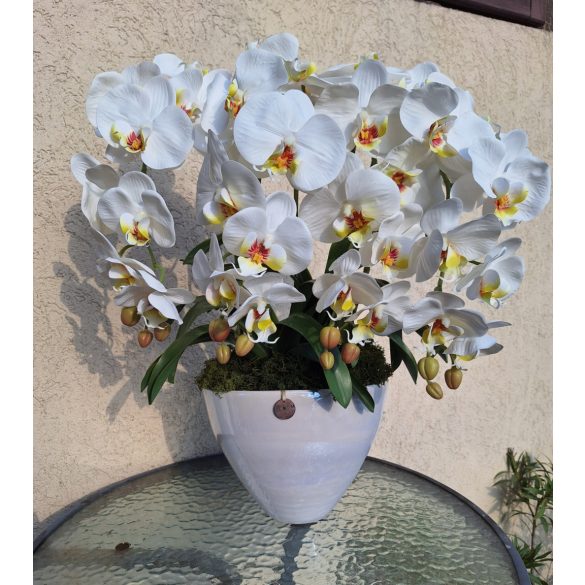 Fehér magasfényű dupla orchidea kaspóban 4 szál élethű lepkeorchidea, orchidea levelekkel és izlandi zuzmóval díszítve
