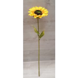Napraforgó, szálas (62 cm)