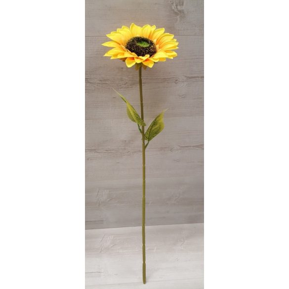 Napraforgó, szálas (62 cm)
