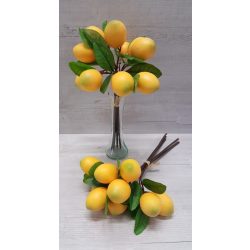 Citrom ág, kötegelt*5 (32 cm)