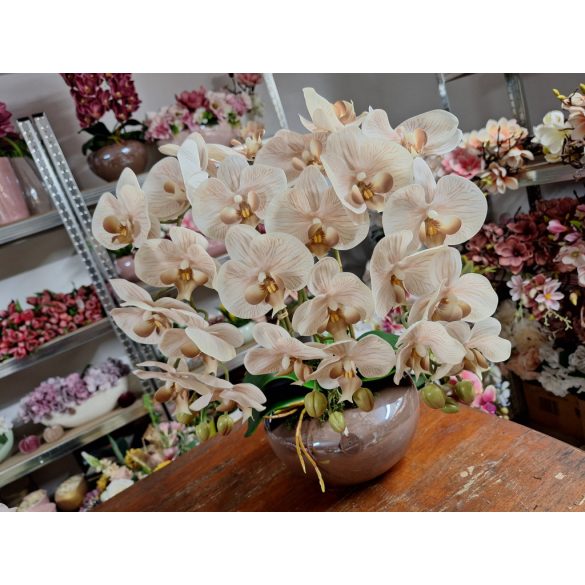 3 szálas cappuchino orchidea barna kaspóban