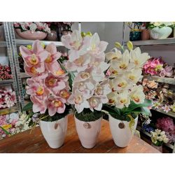 1 szálas csónakorchidea nagy méretű kerámia kaspóban
