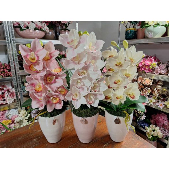 1 szálas csónakorchidea nagy méretű kerámia kaspóban