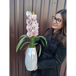 Csónakorchidea vázában