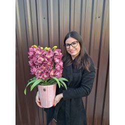 Lila 4 szálas csónakorchidea pink kaspóban