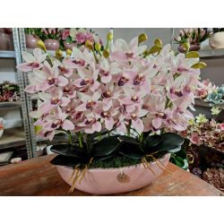 2 oldalas csónakorchidea dekoráció