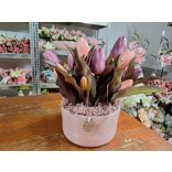 Tulipán dekoráció lila-pink