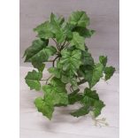 Philodendron futó, gumis (45 cm)