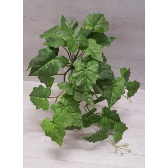 Philodendron futó, gumis (45 cm)
