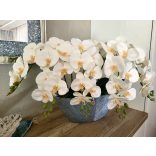 Orchidea dekoráció betonhatású kaspóban 