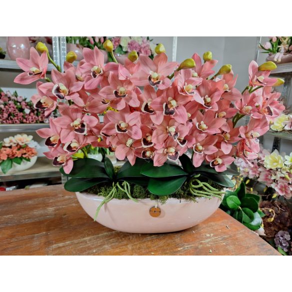 5 szálas csónakorchide 