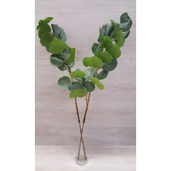 Eukaliptusz ág, nagyleveles (95 cm)