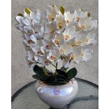 Fehér 3 szálas csónakorchidea fehér magasfényű konyakkaspóban