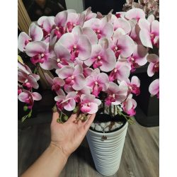 5 szálas fehér-pink orchidea állókaspóban