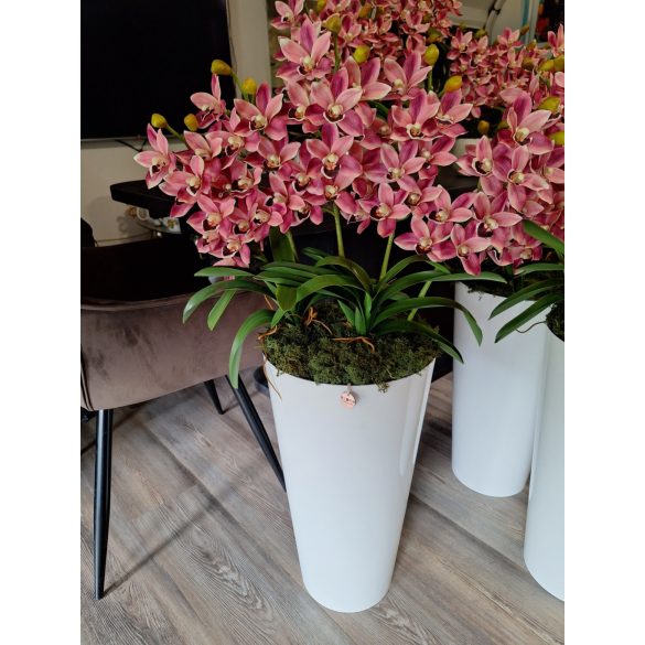 5 szálas csónakorchidea dekoráció fehér magasfényű padlóvázában