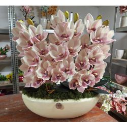 3 szálas csónakorchidea csónak kaspóban