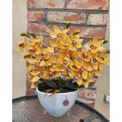 3 szálas csónakorchidea dekoráció