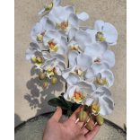 Fehér 2 szálas real touch orchidea