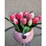Pink mámor Tulipános Összeültetés