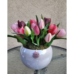 Tulipán Összeültetés