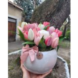 Tulipán Összeültetés 21 szál