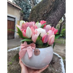 Tulipán Összeültetés 21 szál