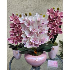 Orchidea dekoráció